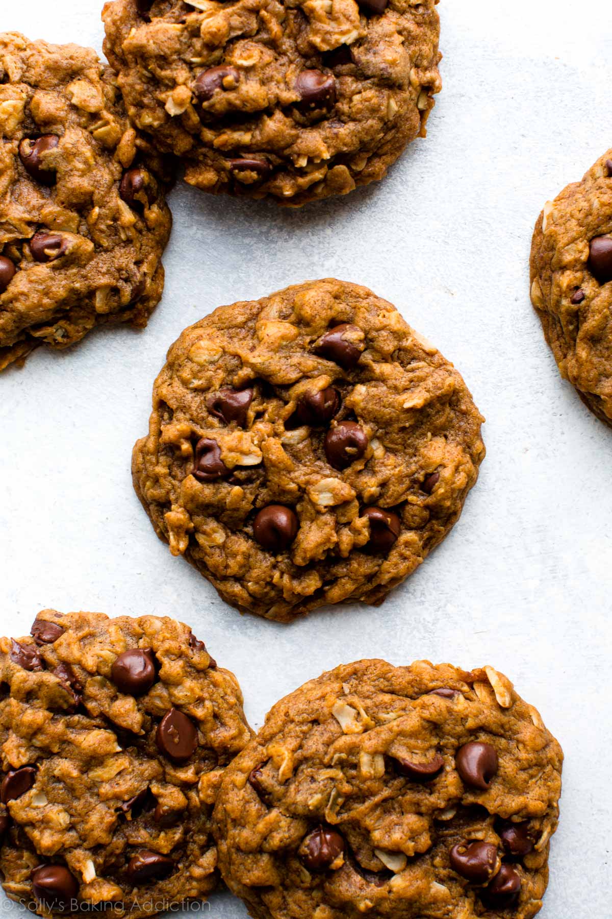Perfect Fall Chewy Pumpkin Oatmeal Chocolate Chip Cookies Recipe